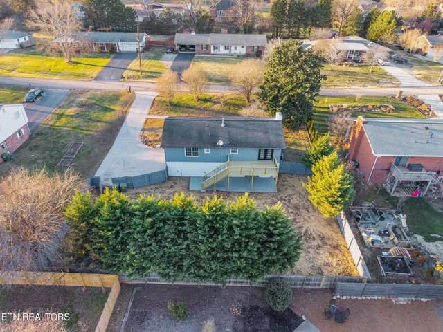 a view of a yard with plants and trees