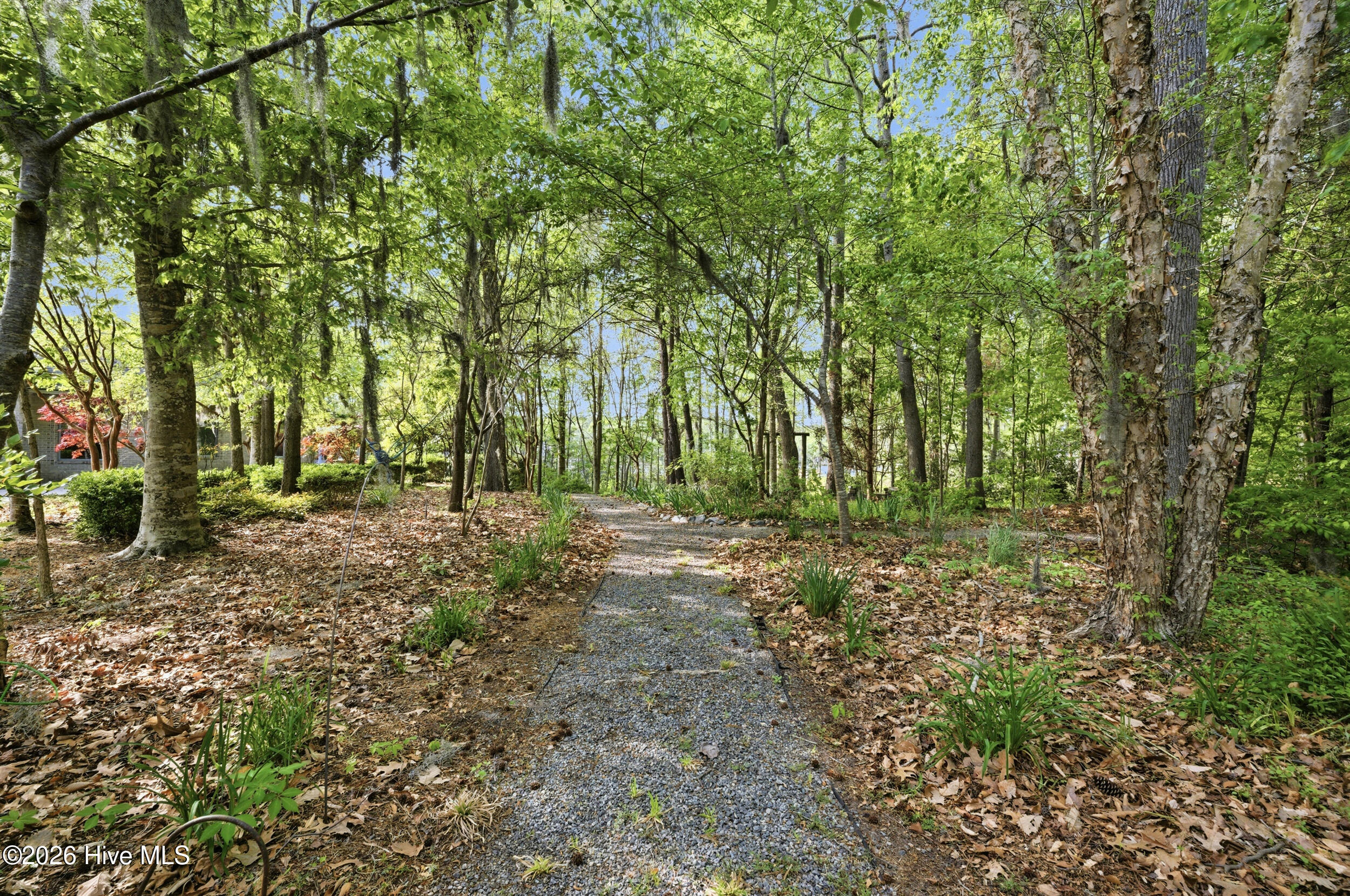 211 Beech Point Boulevard Hertford, NC 27944 - Photo 42 of 56 Front Yard