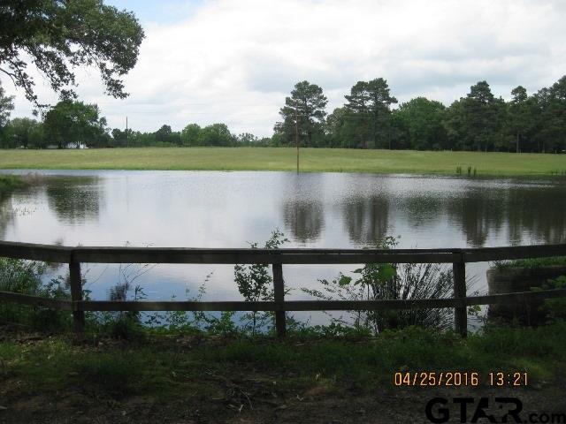 4452 Turtle Road Pittsburg, TX 75686 - Photo 2 of 9