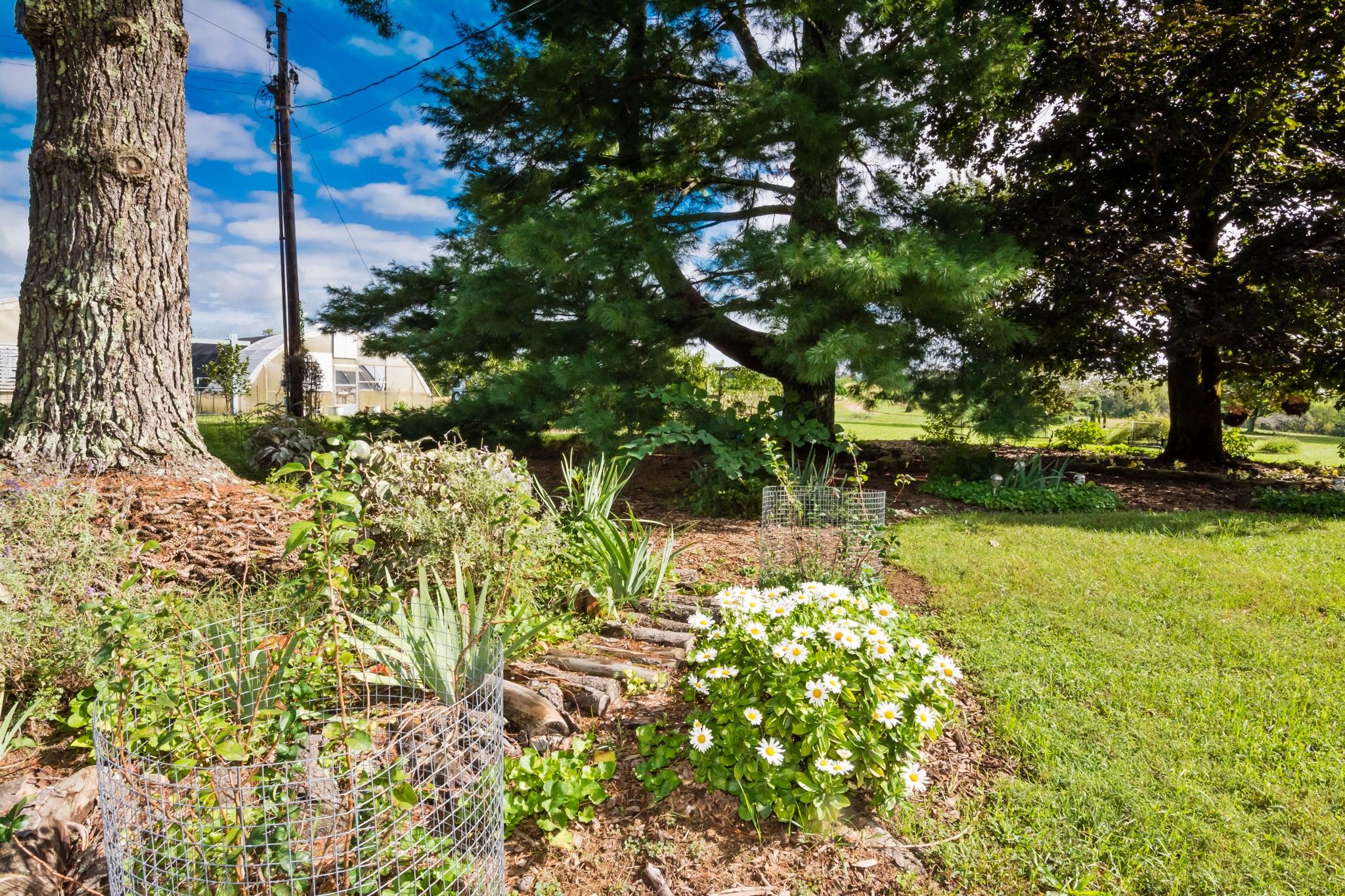 633 Cross Road Dunlap, TN 37327 - Photo 45 of 102 cr18