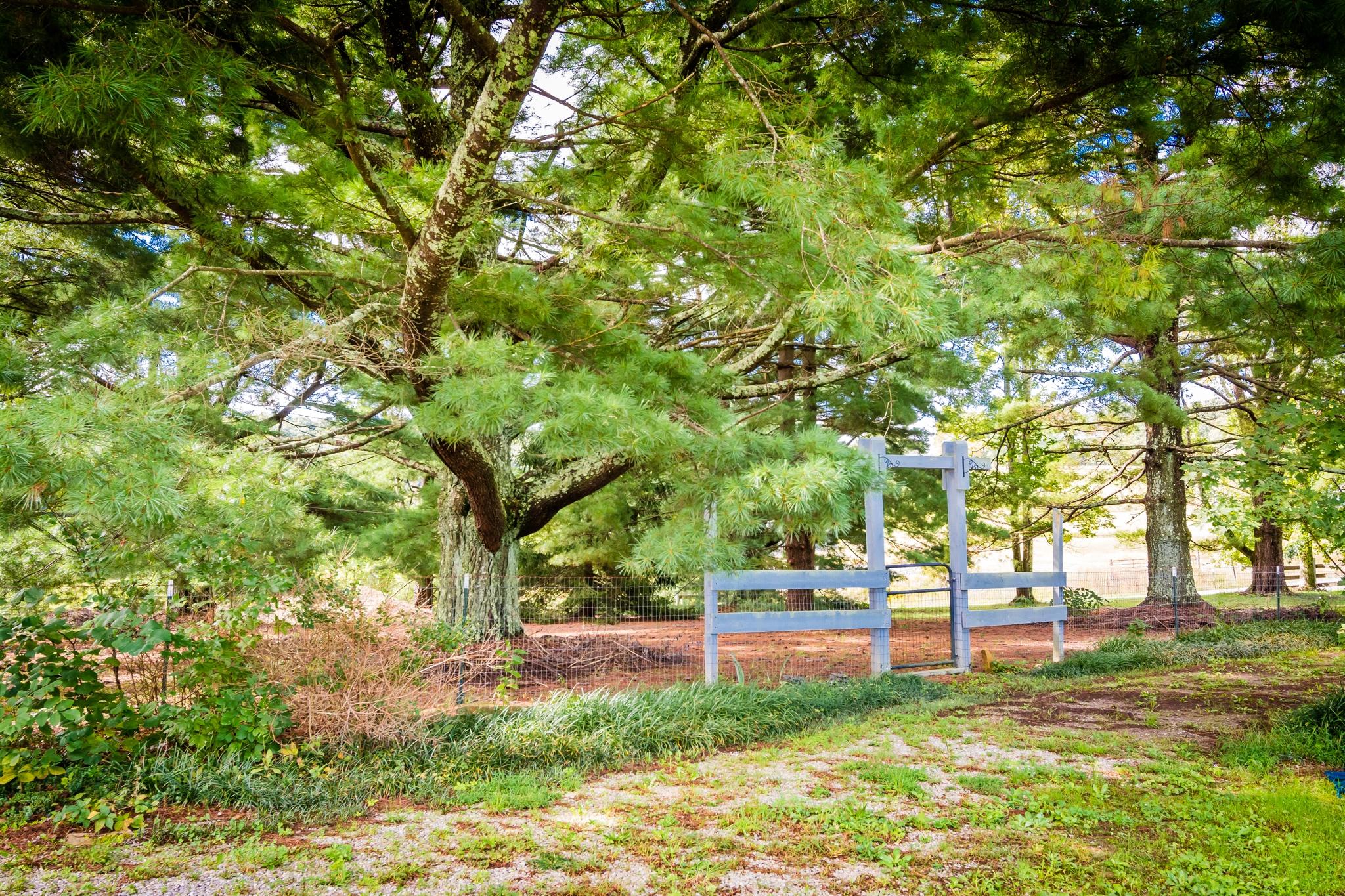 633 Cross Road Dunlap, TN 37327 - Photo 48 of 102 cr25
