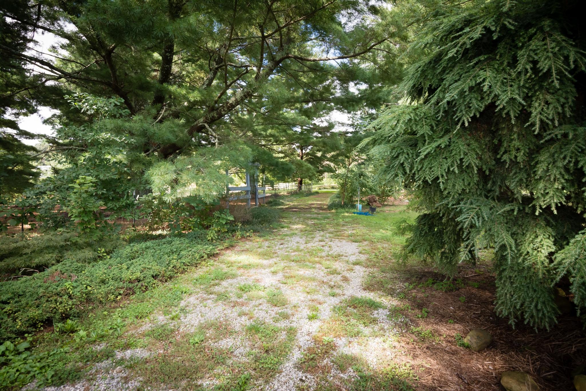633 Cross Road Dunlap, TN 37327 - Photo 78 of 102 cr74