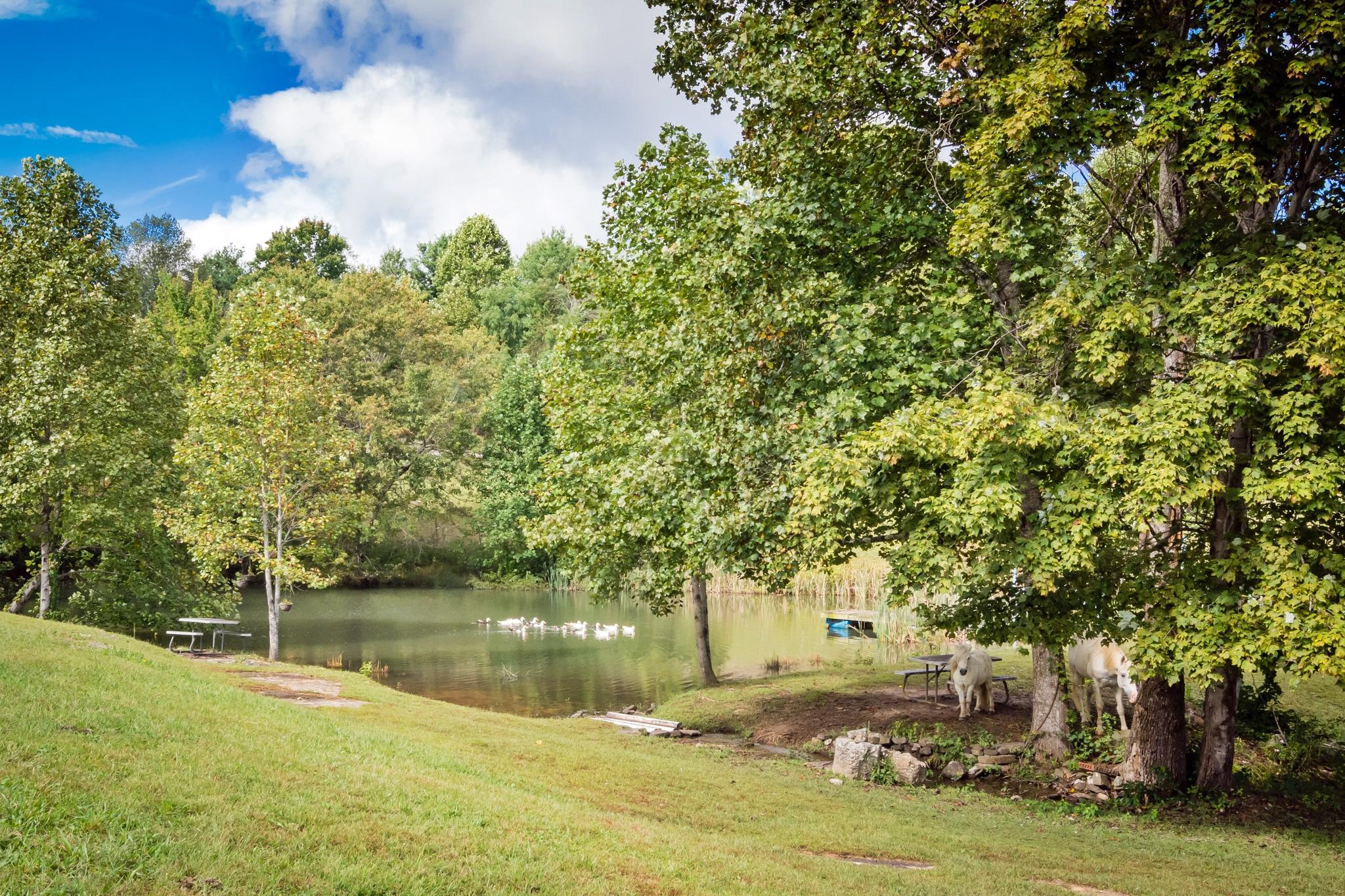 633 Cross Road Dunlap, TN 37327 - Photo 86 of 102 cr89