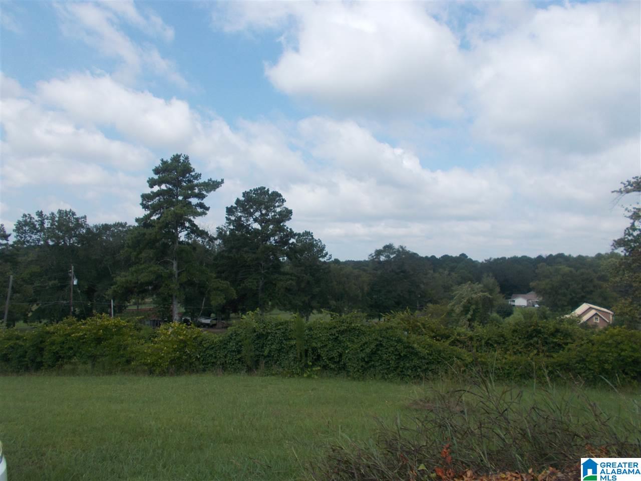 849 Fish Hatchery Road Eastaboga, AL 36260 - Photo 5 of 45