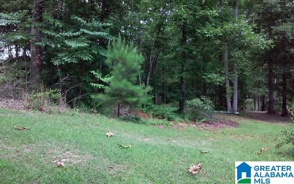 Holliday Drive, Unit 14 Lineville, AL 36266 - Photo 3 of 5