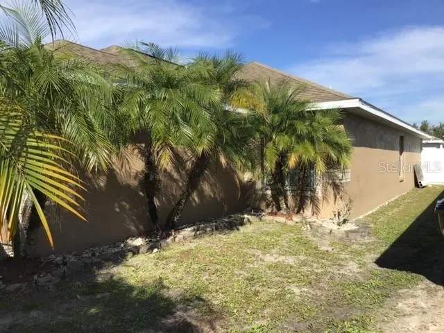 a view of a yard of the house