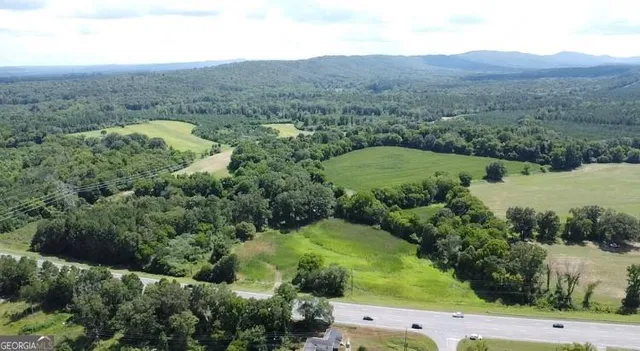 an aerial view of green landscape with trees and houses