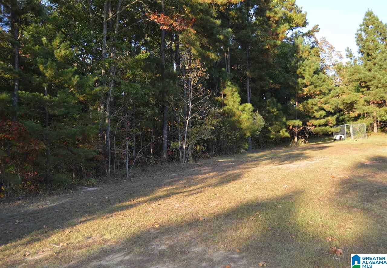 260 Hayfield Loop Dora, AL 35062 - Photo 41 of 42