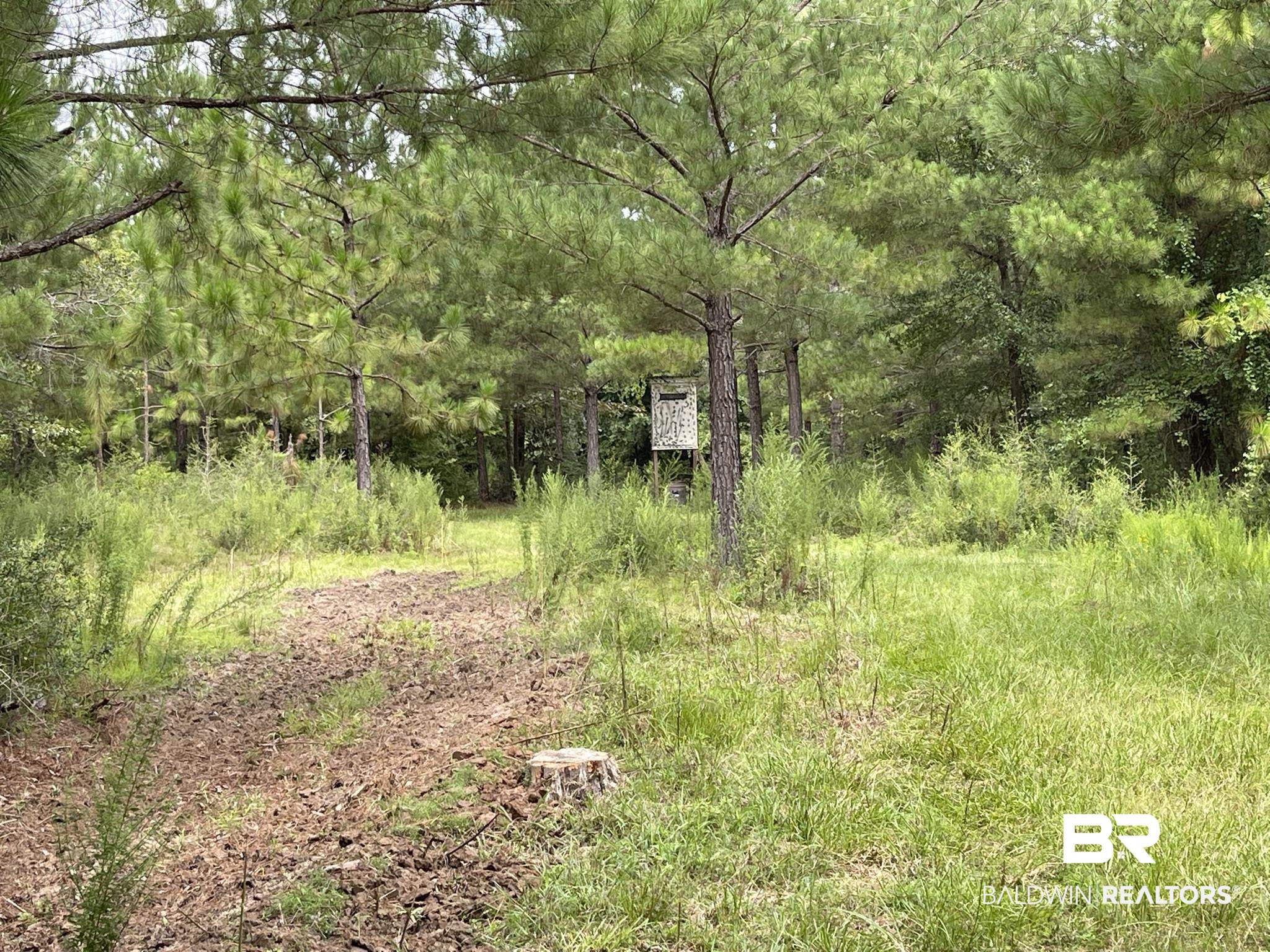 0 County Road 11 Wing, AL 36483 - Photo 8 of 37
