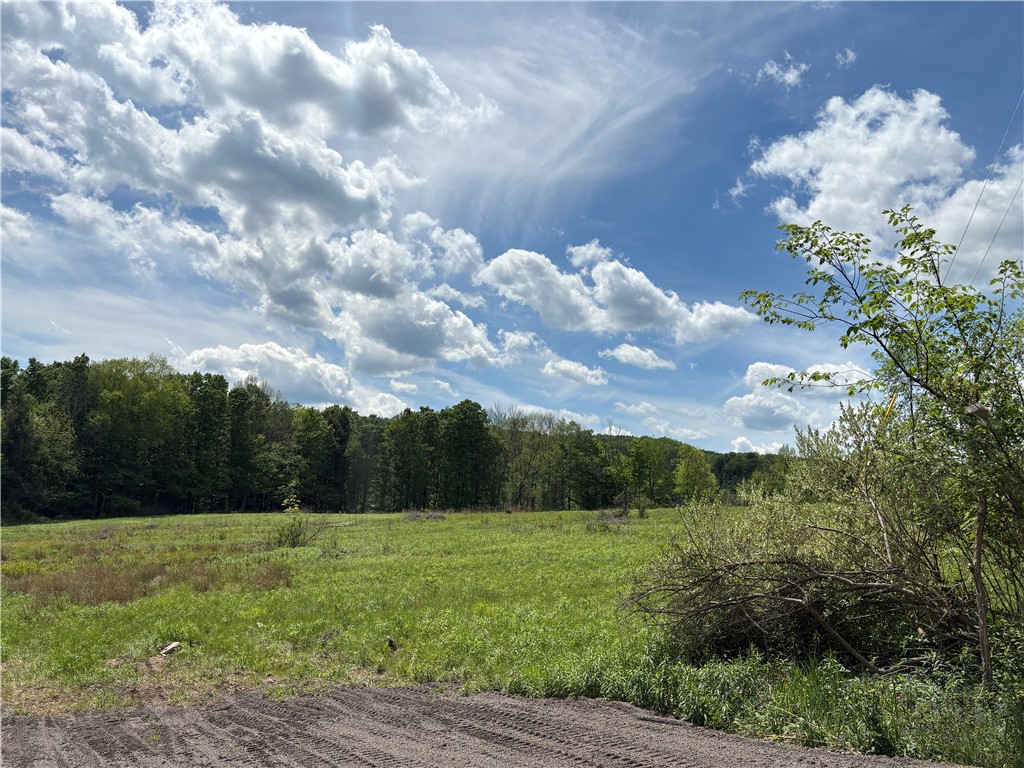 46 County Road Norwich, NY 13815 - Photo 4 of 27