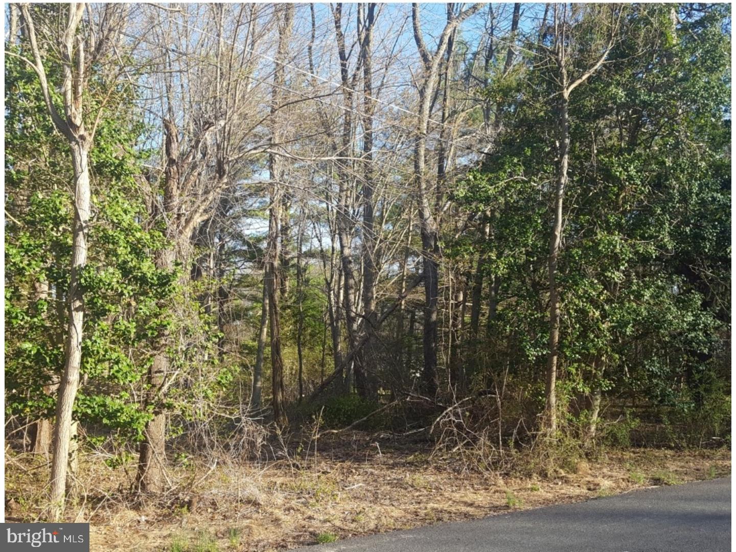 0 Ridge Road Elkton, MD 21921 - Photo 2 of 9 Gallery Image 2