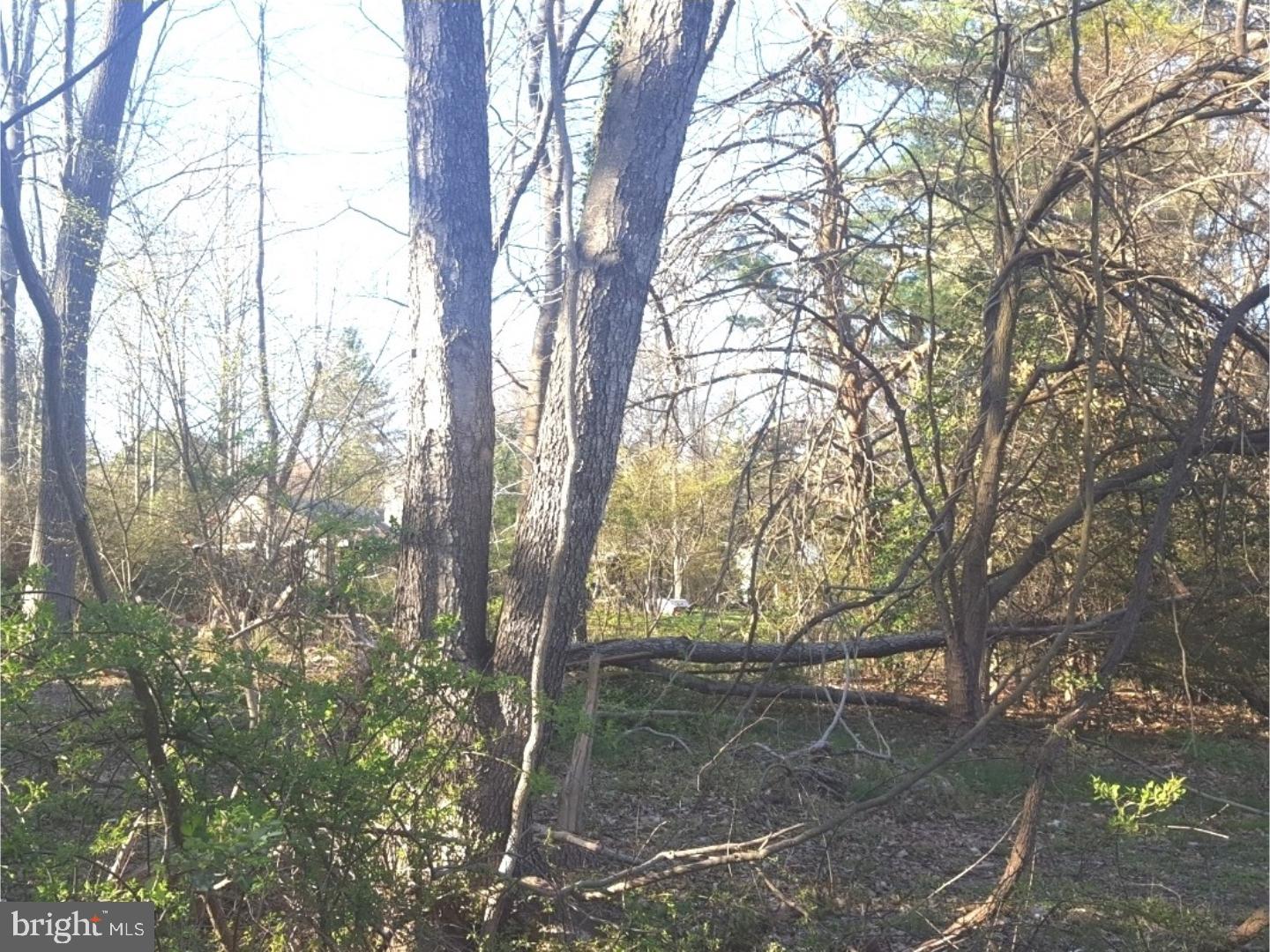 0 Ridge Road Elkton, MD 21921 - Photo 8 of 9 Gallery Image 8