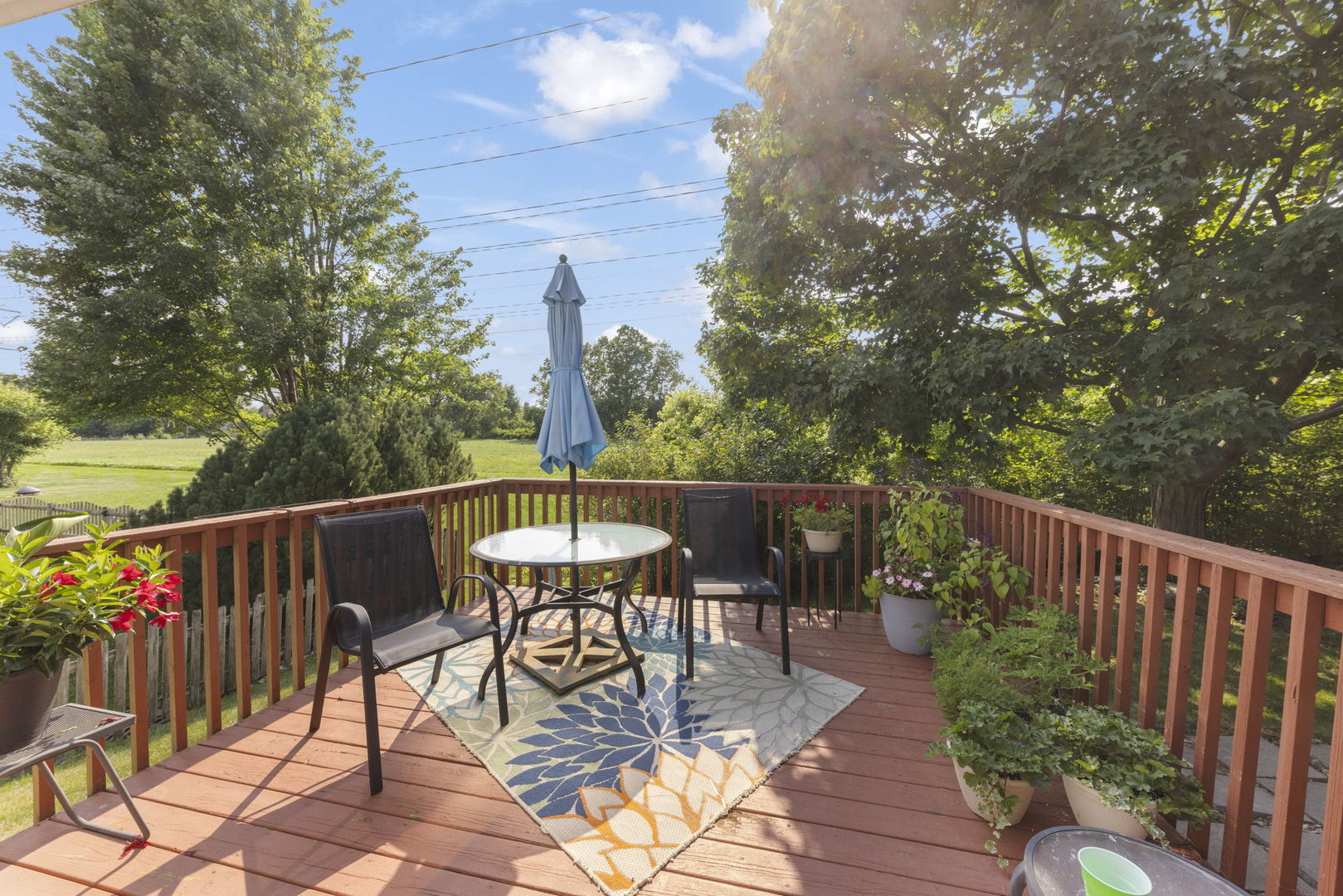 907 Wescott Road Bolingbrook, IL 60440 - Photo 23 of 31