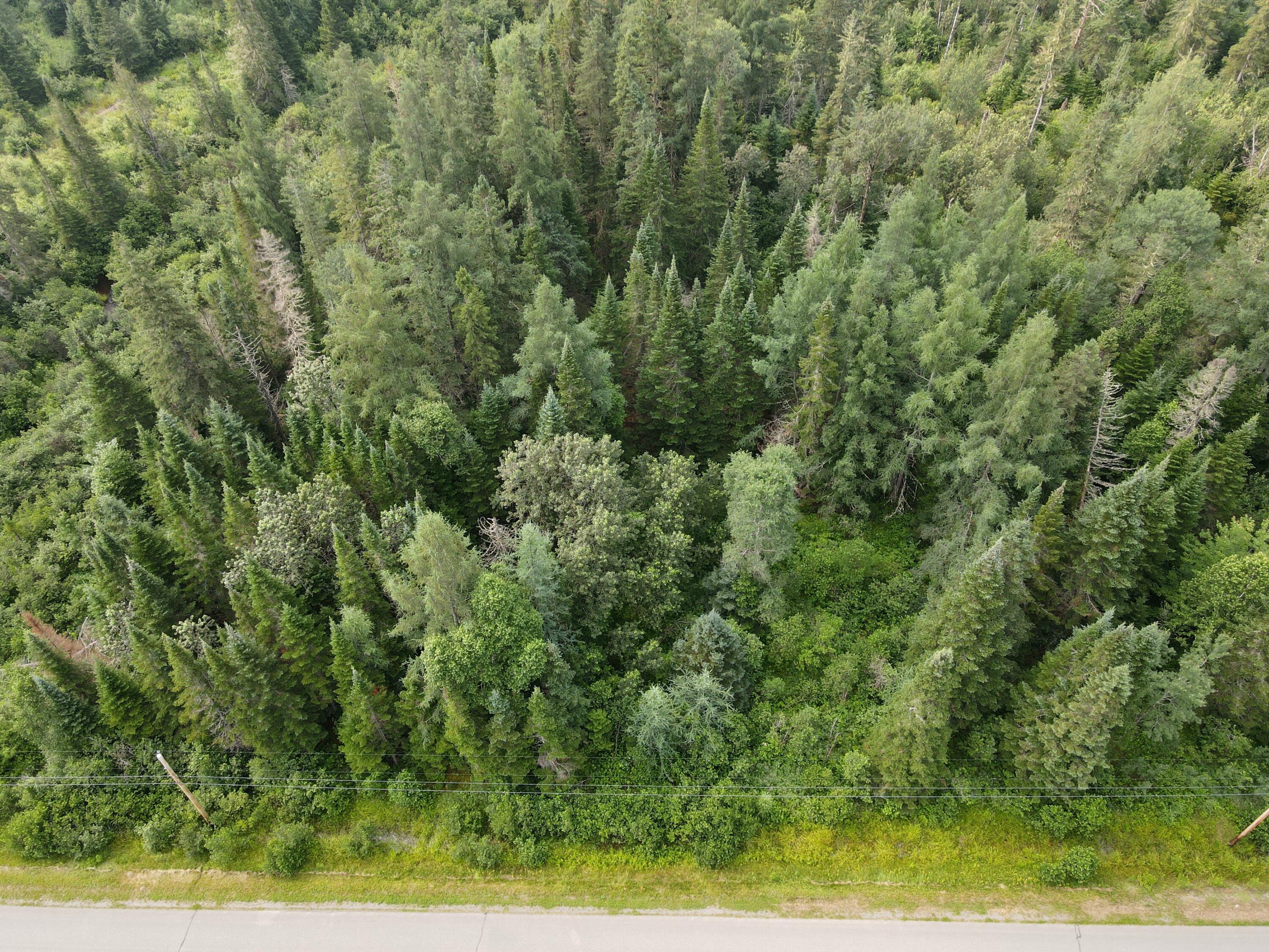 Lot 40 Sheen Road Caribou, ME 04736 - Photo 2 of 6 dji_fly_20230718_093508_319_168968786975