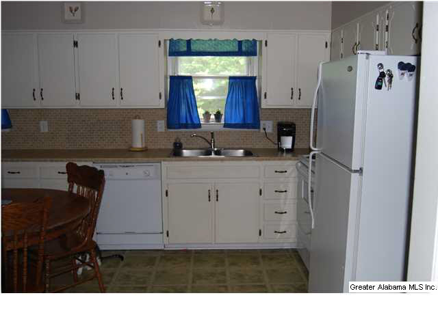 701 Truss Ferry Road Pell City, AL 35128 - Photo 7 of 18