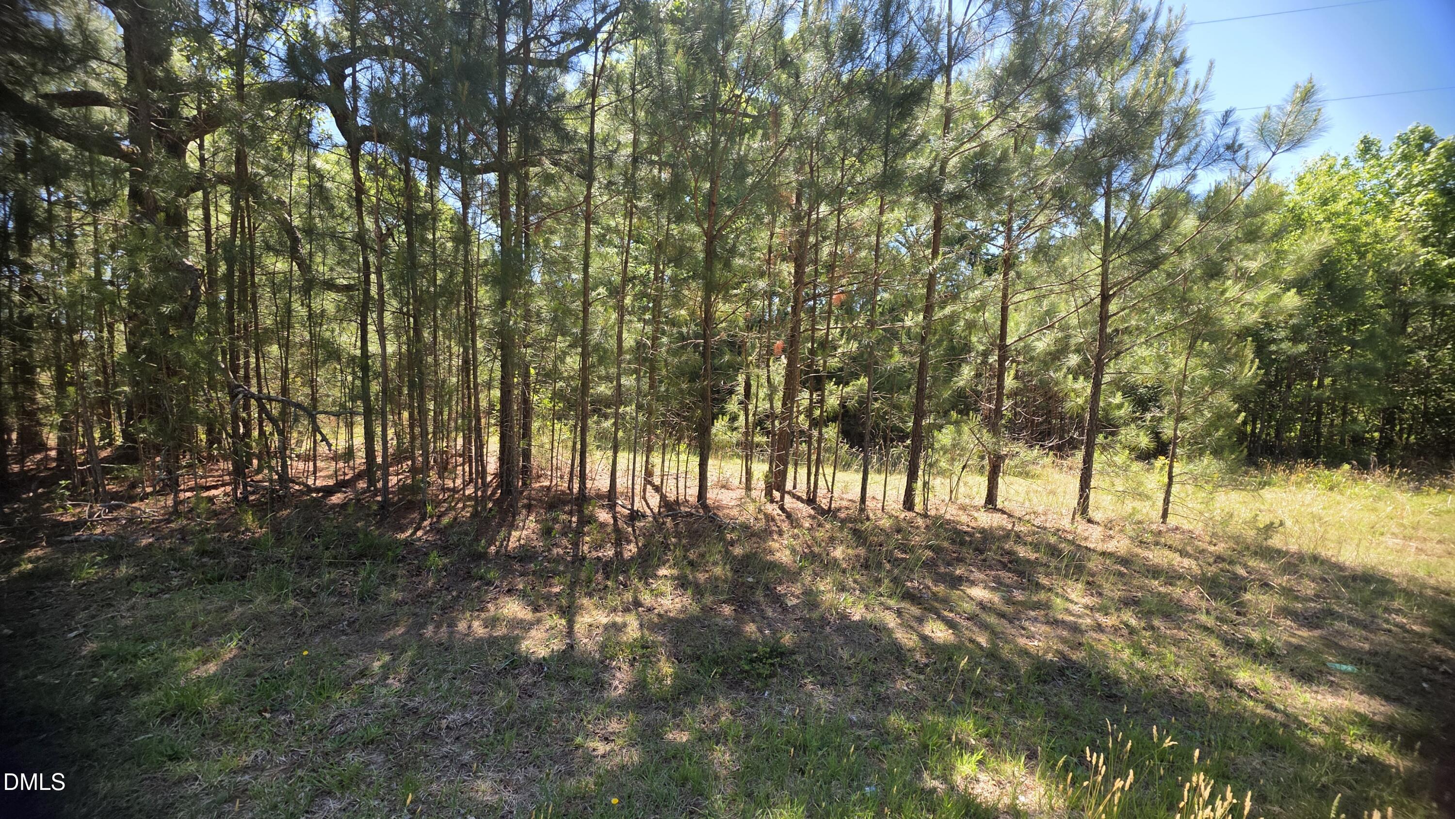 352 Laurel Mill Road Louisburg, NC 27549 - Photo 3 of 10