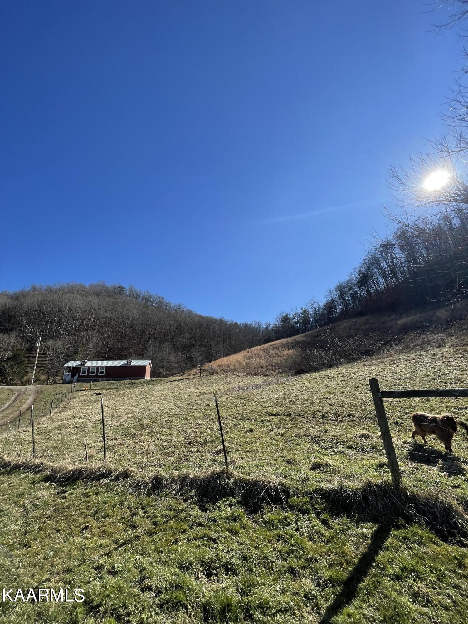 267 Back Valley Road Sneedville, TN 37869 - Photo 18 of 18 IMG_1161