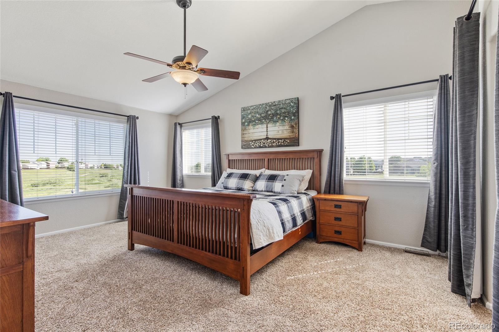 10533 Redcone Way Highlands Ranch, CO 80130 - Photo 17 of 40 Gallery Image 17