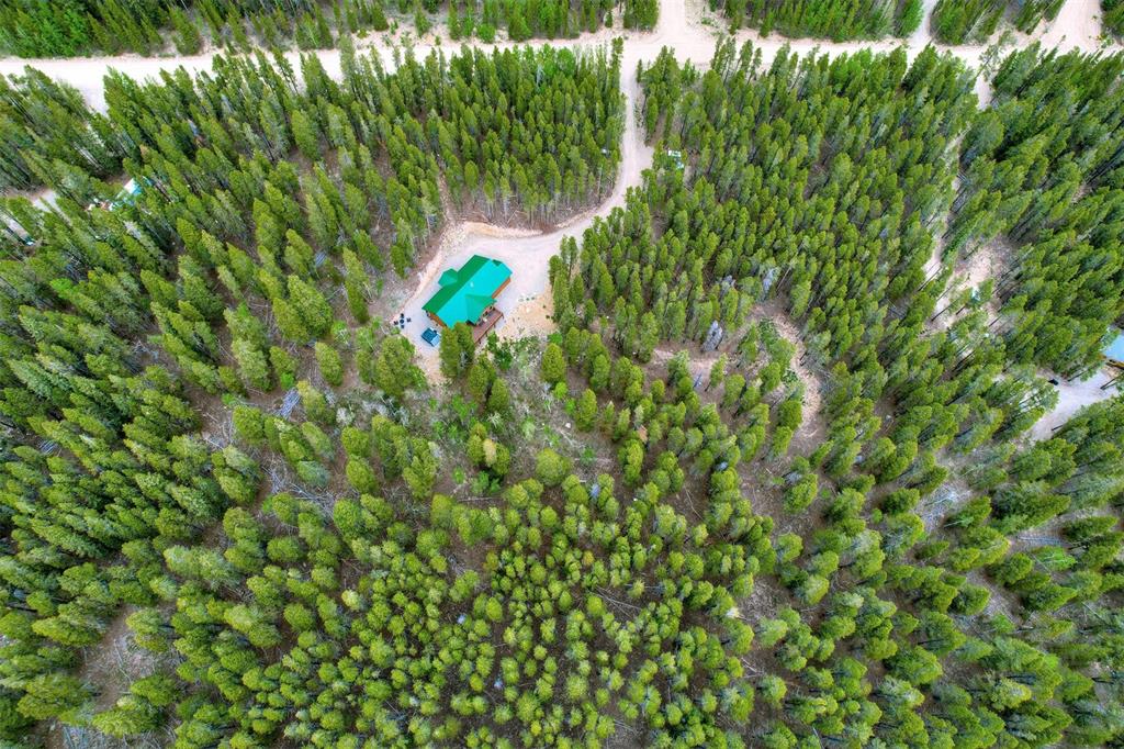 1002 Venture Road Fairplay, CO 80440 - Photo 34 of 35 a close up of a plant in a garden