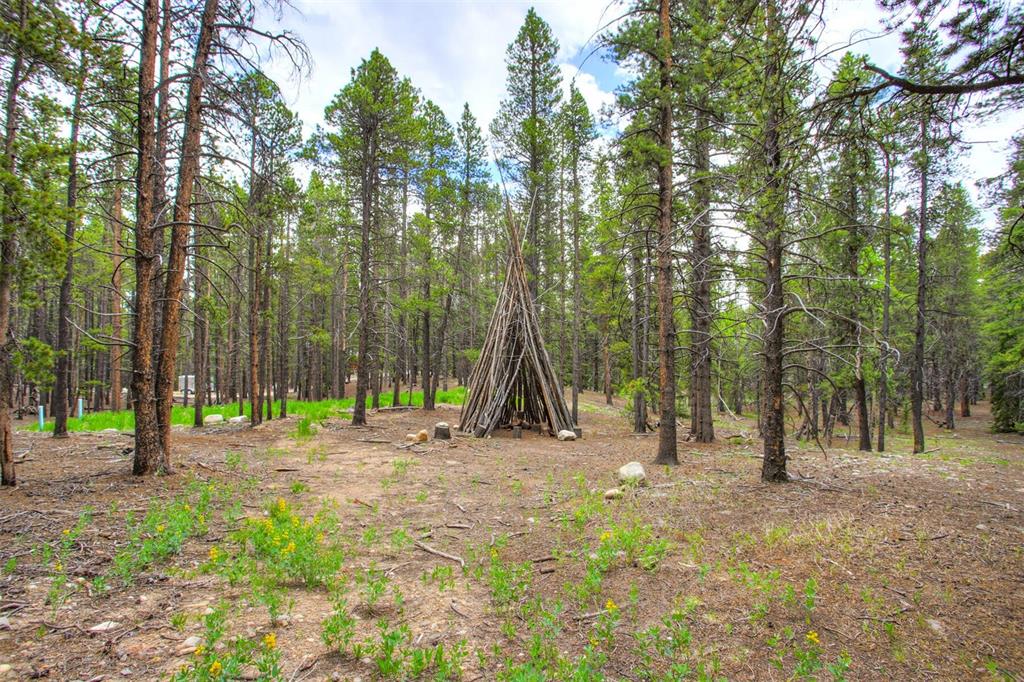 1002 Venture Road Fairplay, CO 80440 - Photo 35 of 35 a view of outdoor space with trees