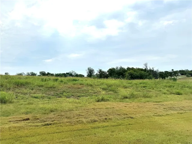 a view of a field with an ocean