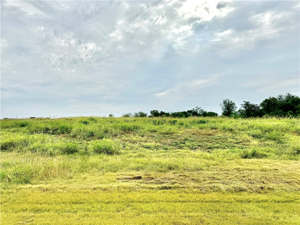 0 Mockingbird Dr Mount Mount Calm, TX 76673 - Photo 12 of 18 a view of an ocean