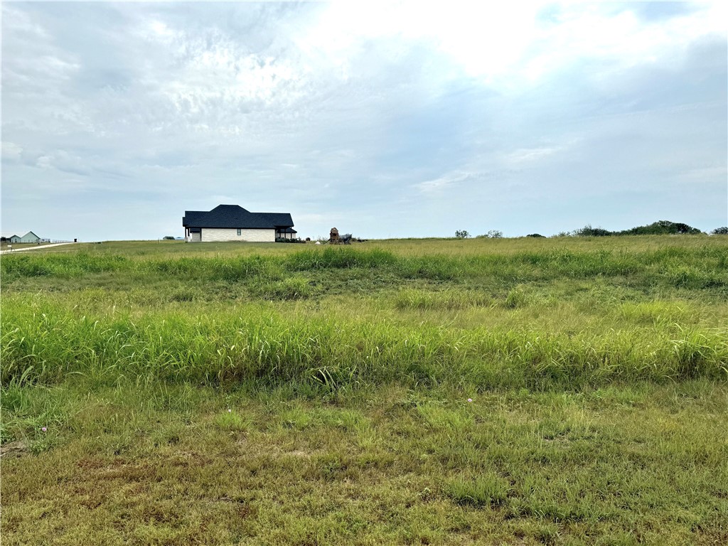 0 Mockingbird Dr Mount Mount Calm, TX 76673 - Photo 7 of 18 a view of a field with an trees