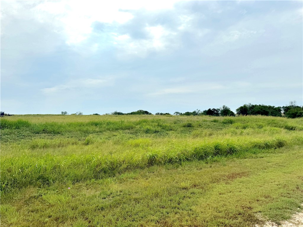 0 Mockingbird Dr Mount Mount Calm, TX 76673 - Photo 8 of 18 a view of lake with green space
