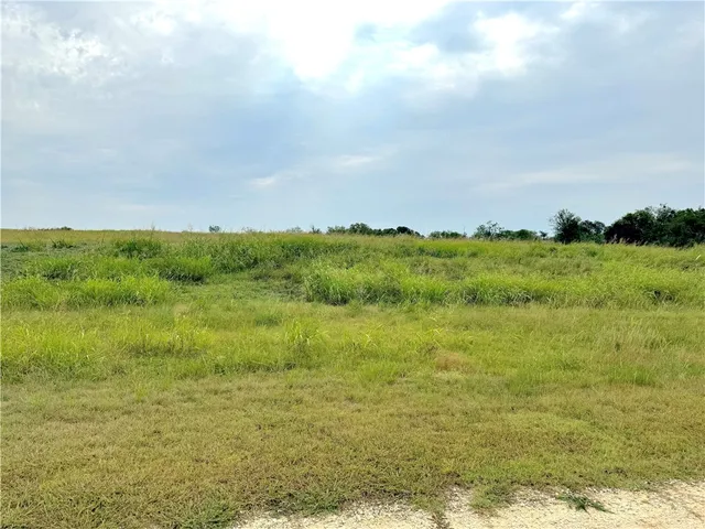 a view of a field with an ocean and trees