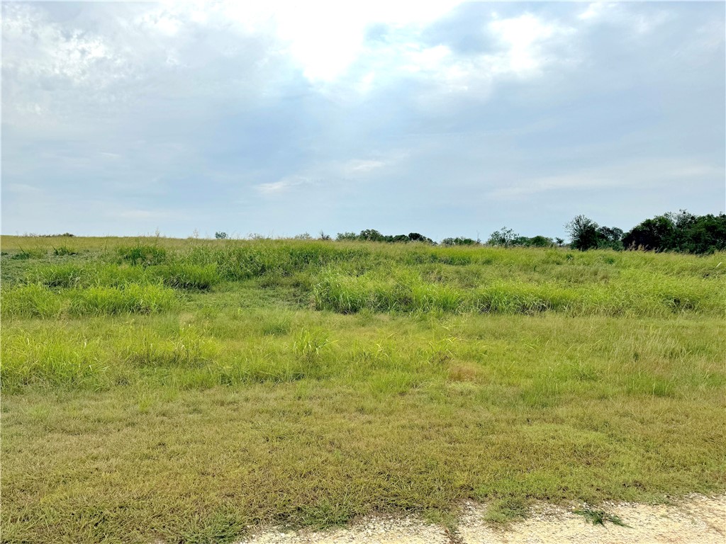 0 Mockingbird Dr Mount Mount Calm, TX 76673 - Photo 9 of 18 a view of a field with an ocean and trees