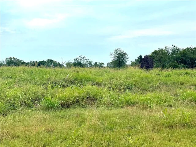 a view of a lush green space