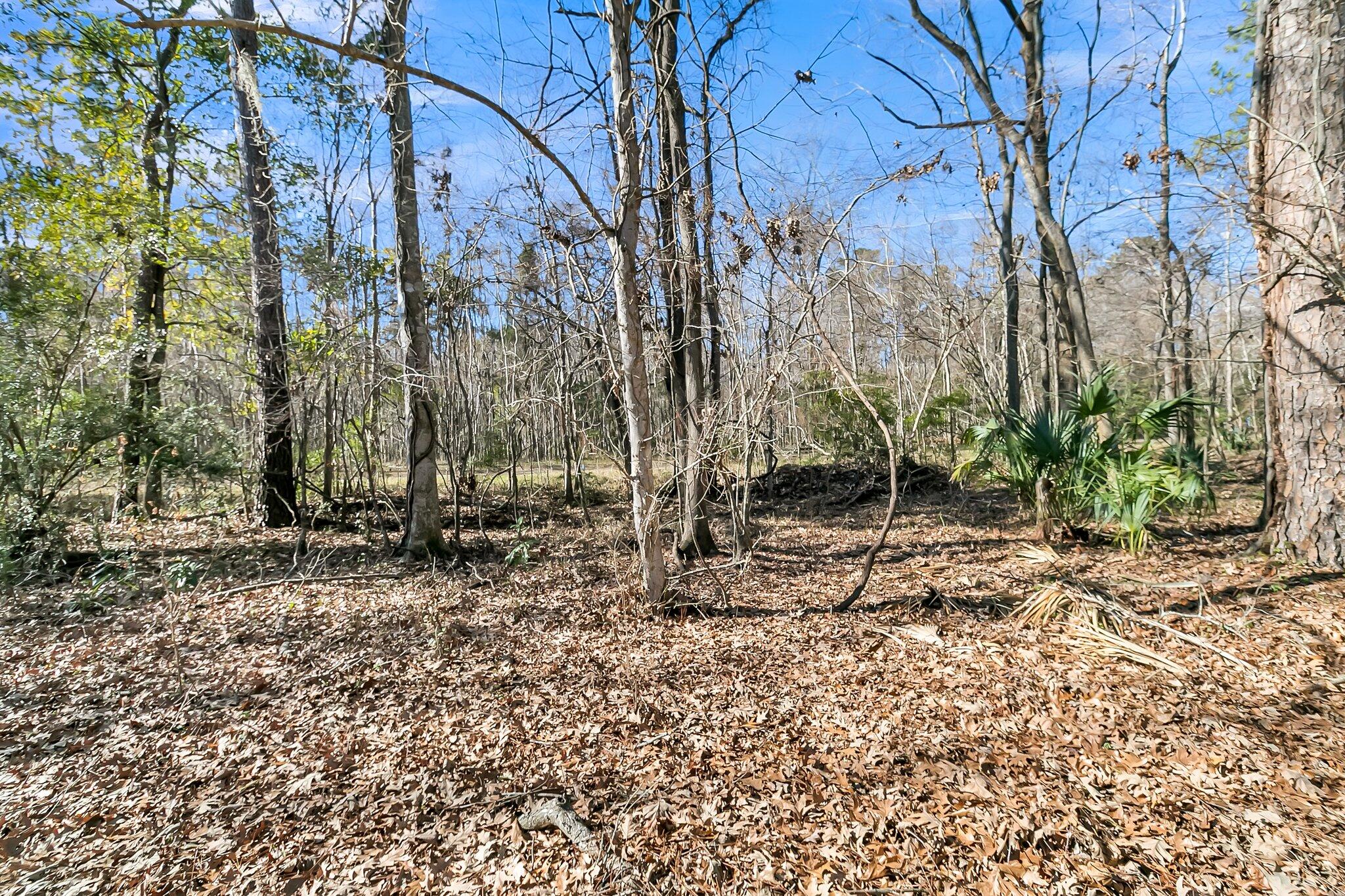 174 Winding Rock Road Goose Creek, SC 29445 - Photo 38 of 44 CREM - 174 Winding Rock Rd-6