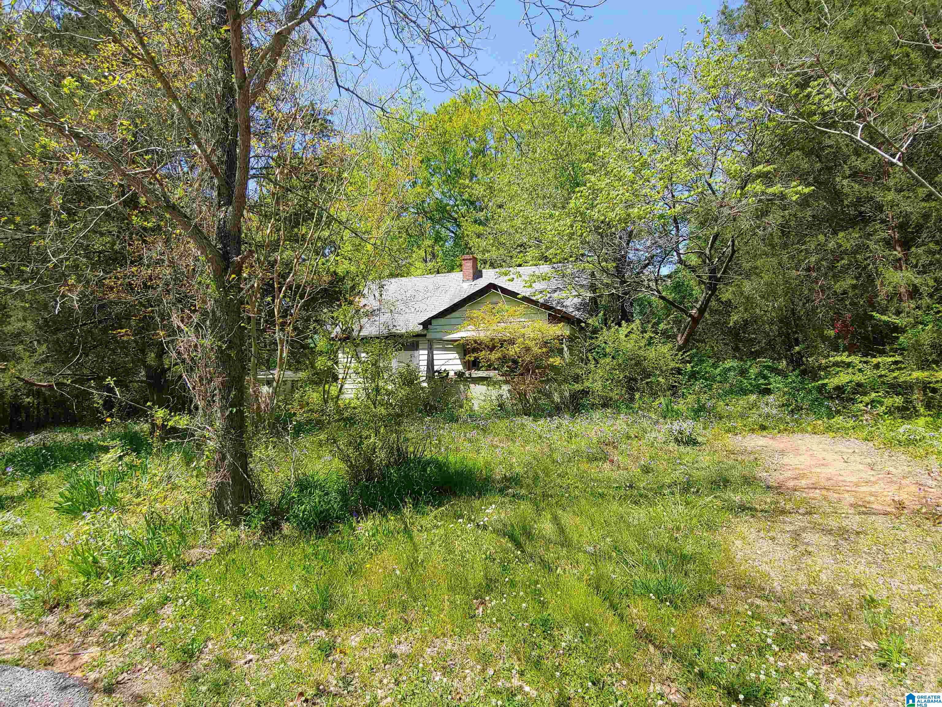 145 Tinney Lane Alpine, AL 35014 - Photo 1 of 1
