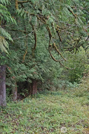 a view of a outdoor space