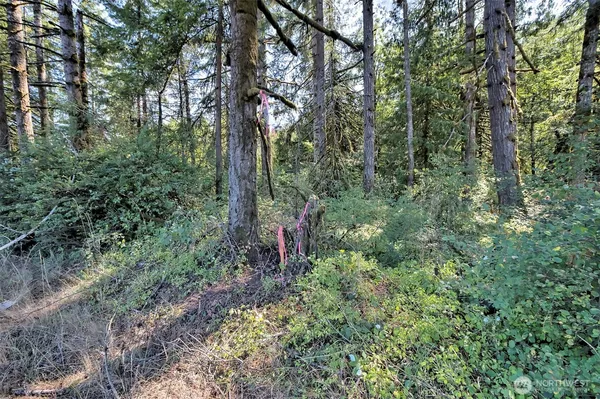 $49,500 | 15501 Highway 101, Shelton, WA 98584