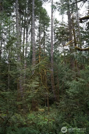 a view of a park with a park