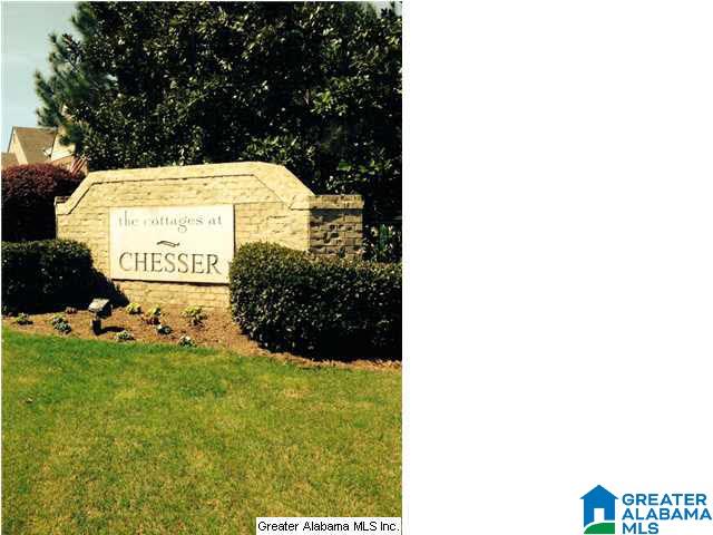 326 Chesser Loop Circle Chelsea, AL 35043 - Photo 2 of 6