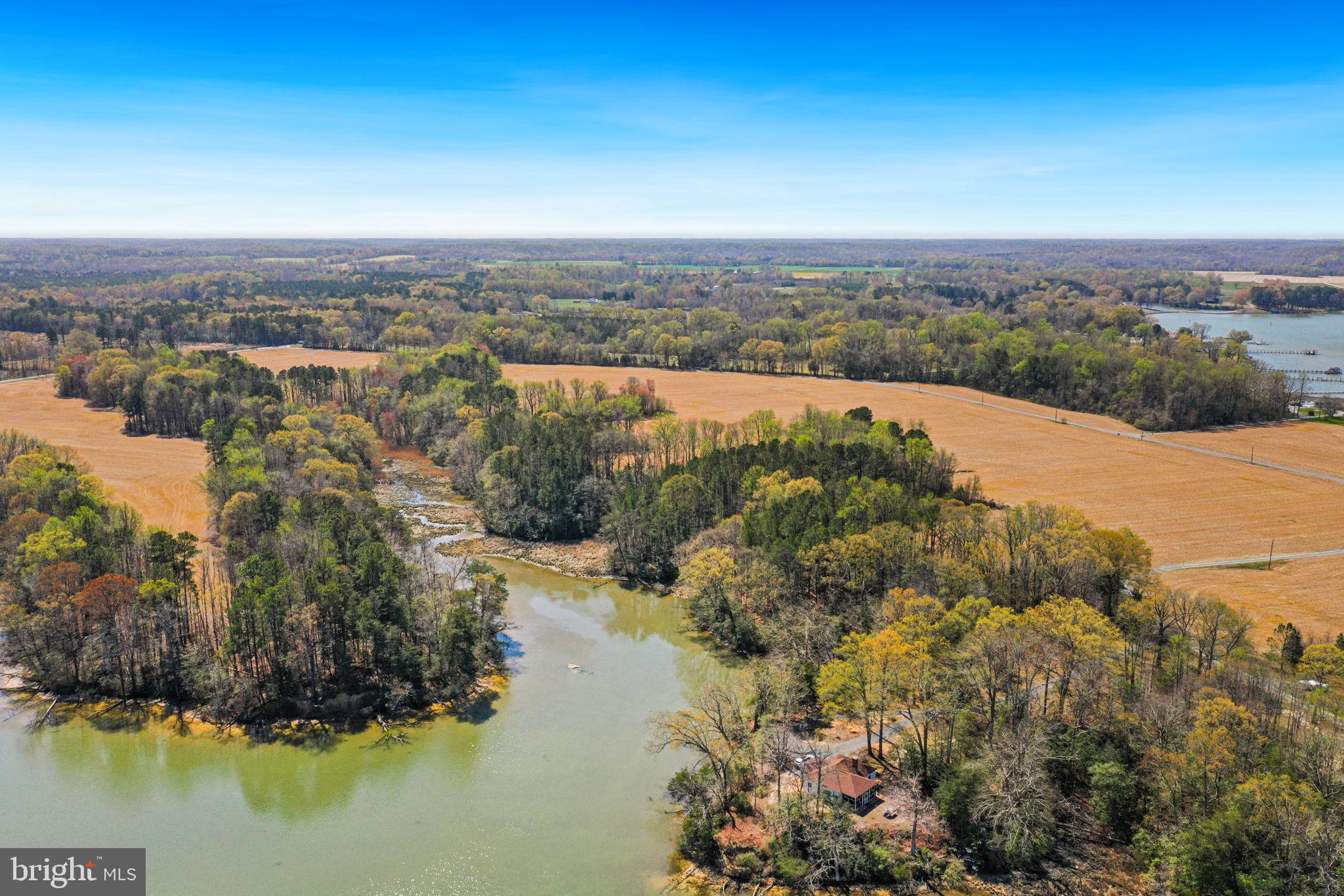 3 Beale's Wharf Road Montross, VA 22520 - Photo 1 of 5 Plenty of shoreline with 60+ acres