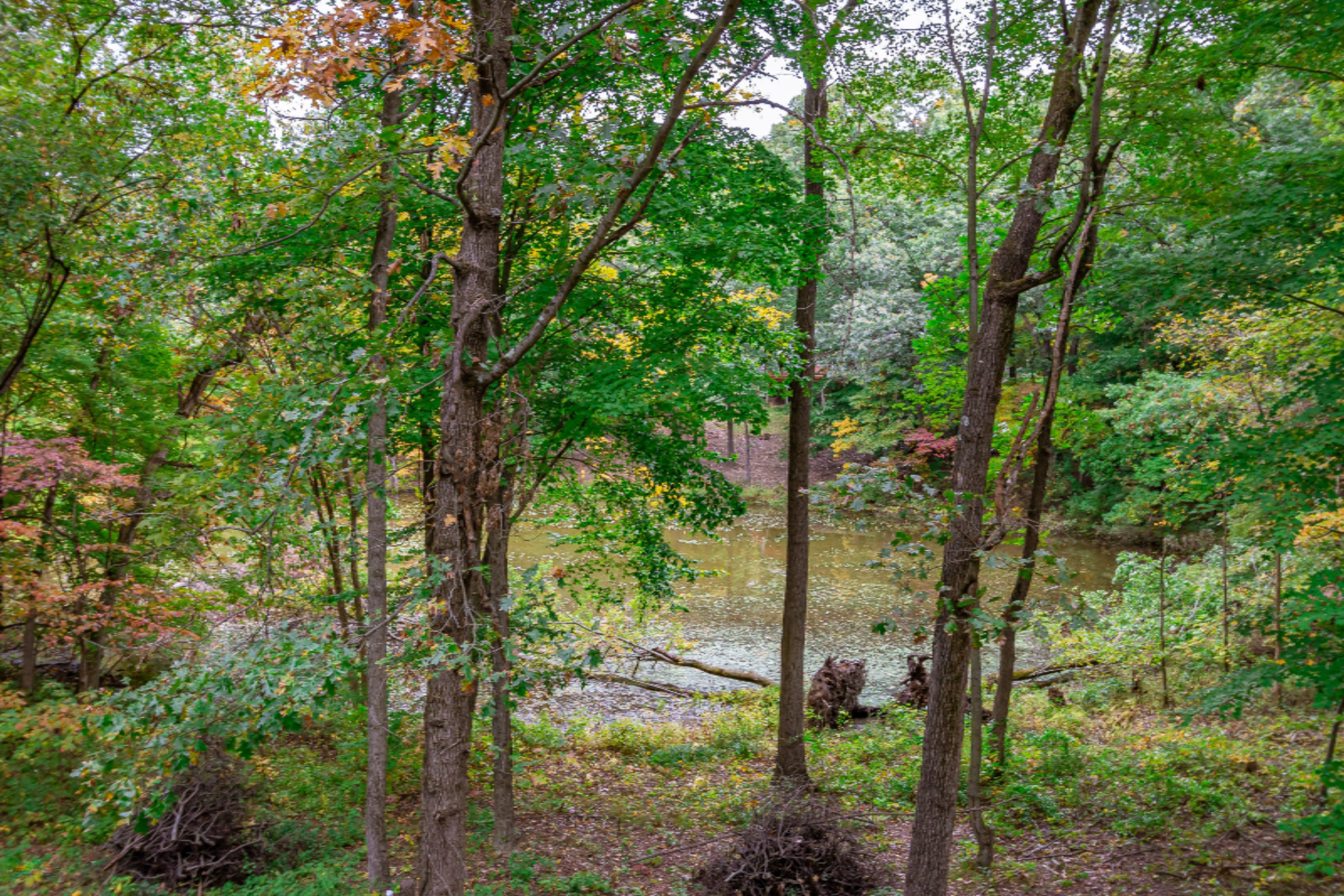 18830 Ark Landing Three Rivers, MI 49093 - Photo 20 of 100 18830 Ark Landing-23