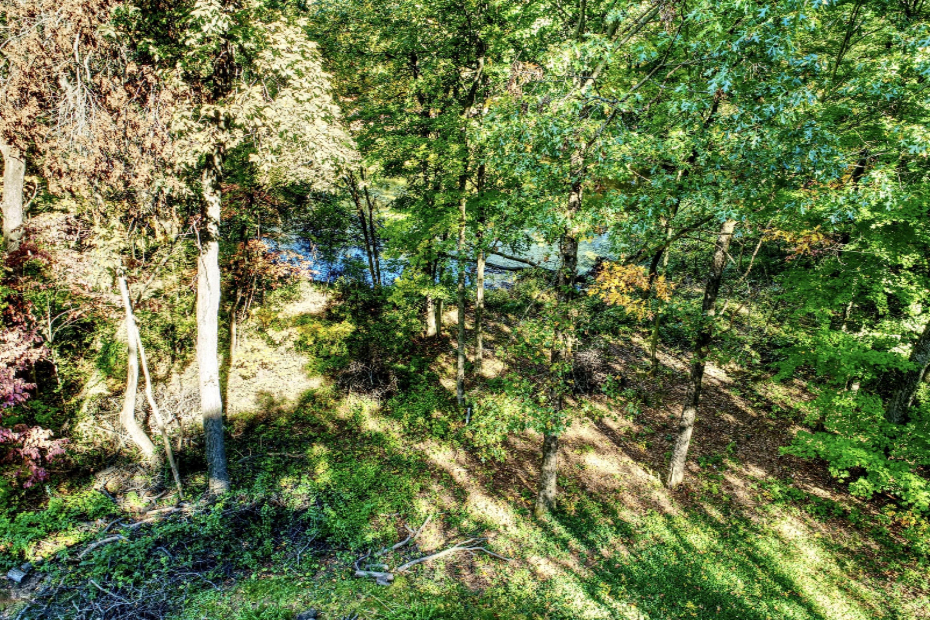 18830 Ark Landing Three Rivers, MI 49093 - Photo 87 of 100 9 (24)