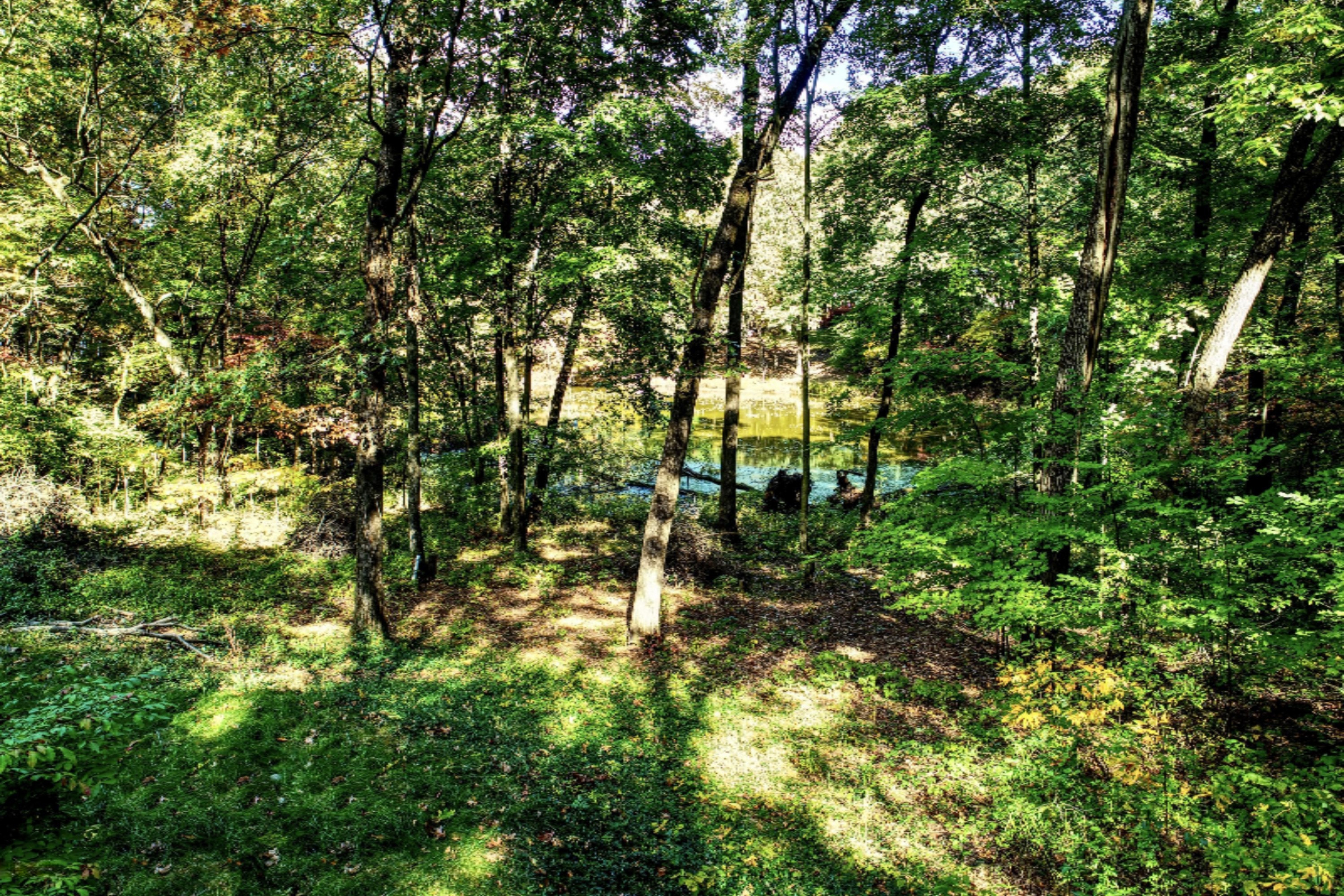 18830 Ark Landing Three Rivers, MI 49093 - Photo 88 of 100 10 (16)