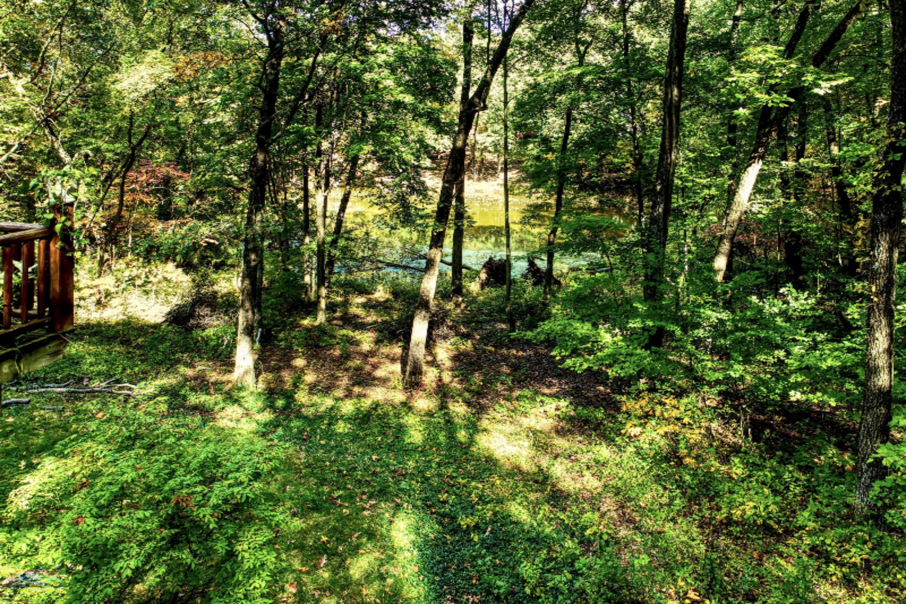 18830 Ark Landing Three Rivers, MI 49093 - Photo 89 of 100 11 (10)