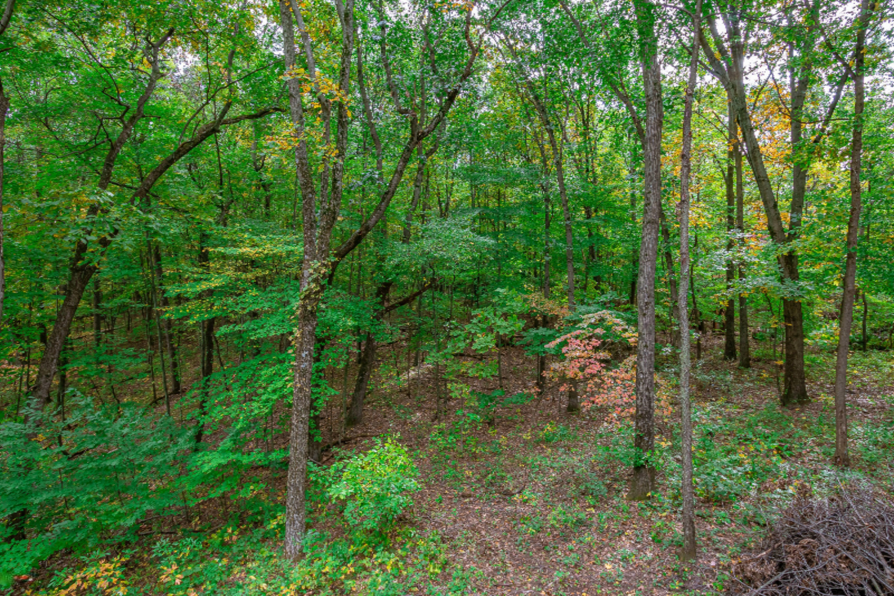 18830 Ark Landing Three Rivers, MI 49093 - Photo 100 of 100 18830 Ark Landing-26