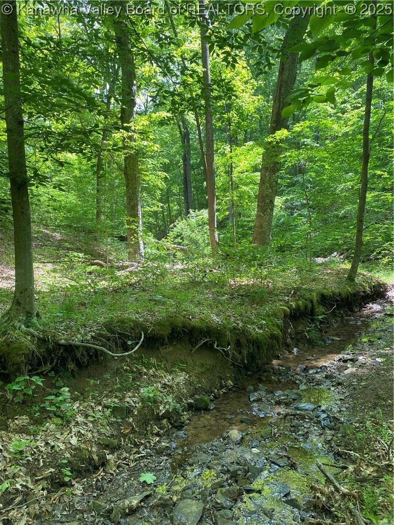 3145 Barker Ridge Road Milton, WV 25541 - Photo 41 of 46 Gallery Image 41