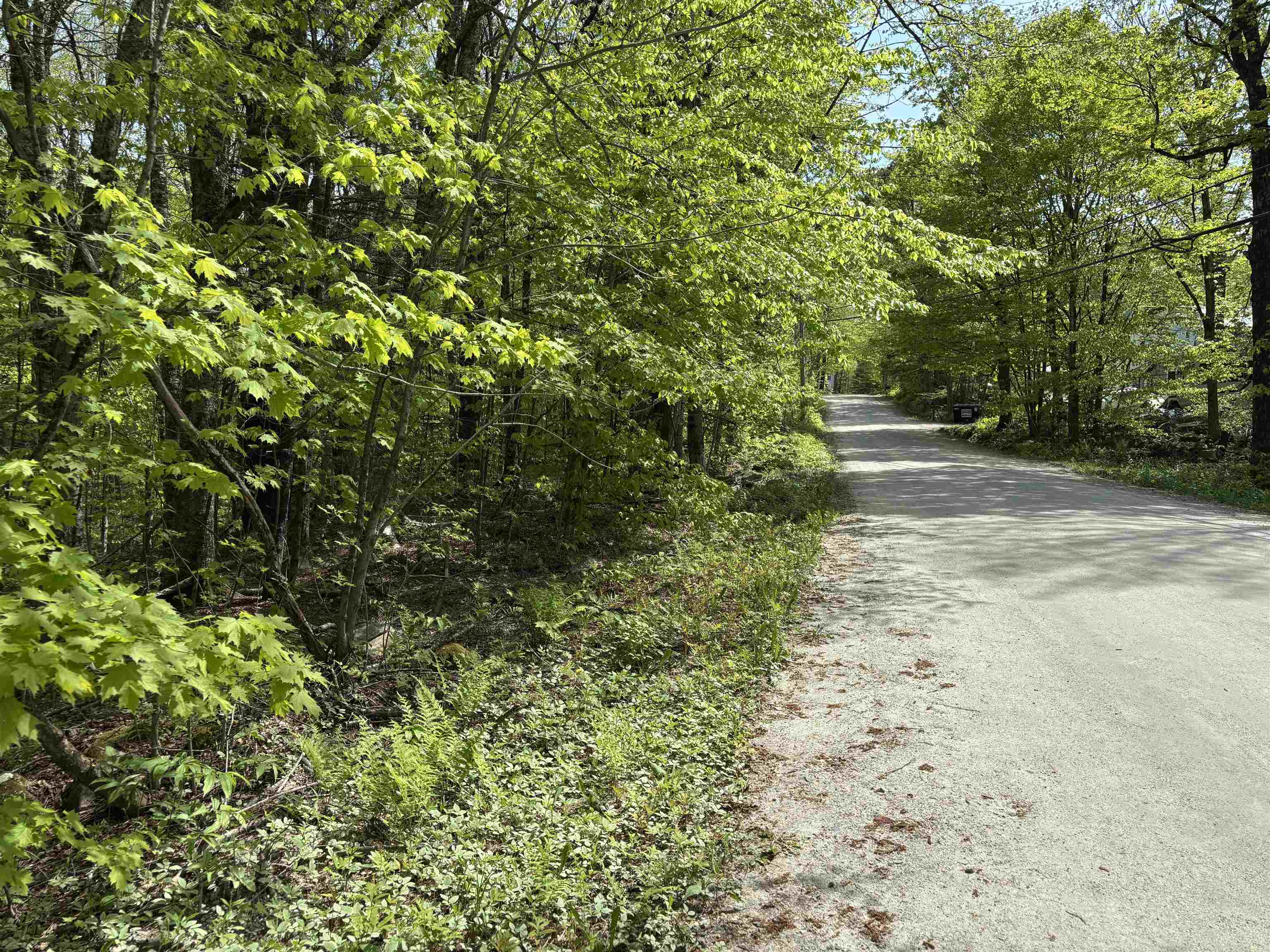 0 Snell Road Chester, VT 05143 - Photo 1 of 14