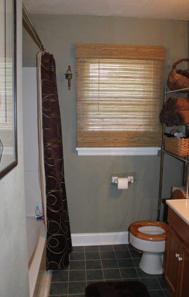 1645 Reece Road Salem, VA 24153 - Photo 21 of 45 Bathroom