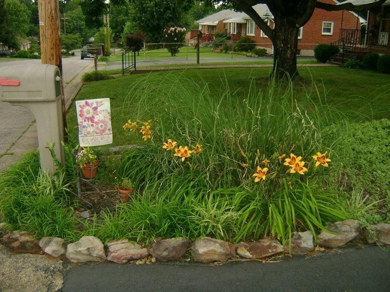 1645 Reece Road Salem, VA 24153 - Photo 45 of 45 Landscaping Easy to Care For