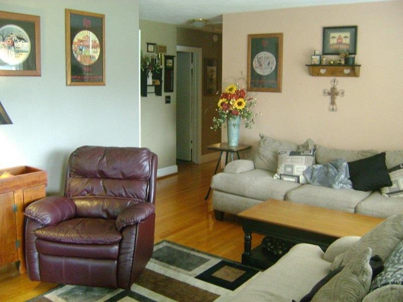 1645 Reece Road Salem, VA 24153 - Photo 7 of 45 Living Room