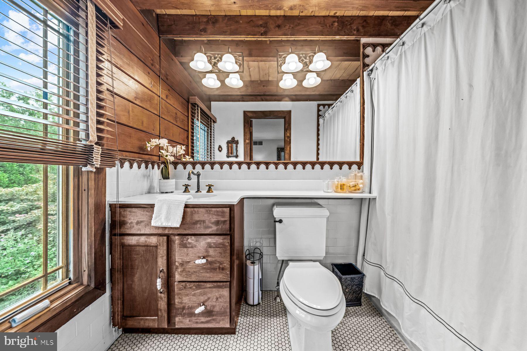 1408 Rene Road Villanova, PA 19085 - Photo 48 of 66 a bathroom with a sink a mirror and a toilet