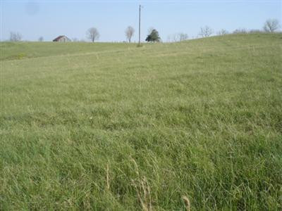 1655 White Turley Road Winchester, KY 40391 - Photo 8 of 8 Photo 8